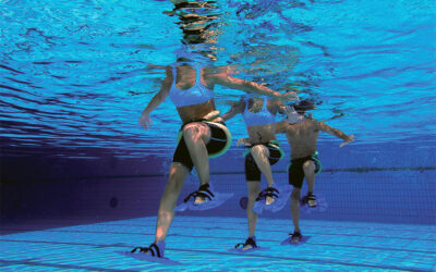 Aquaflap – Centre SAS