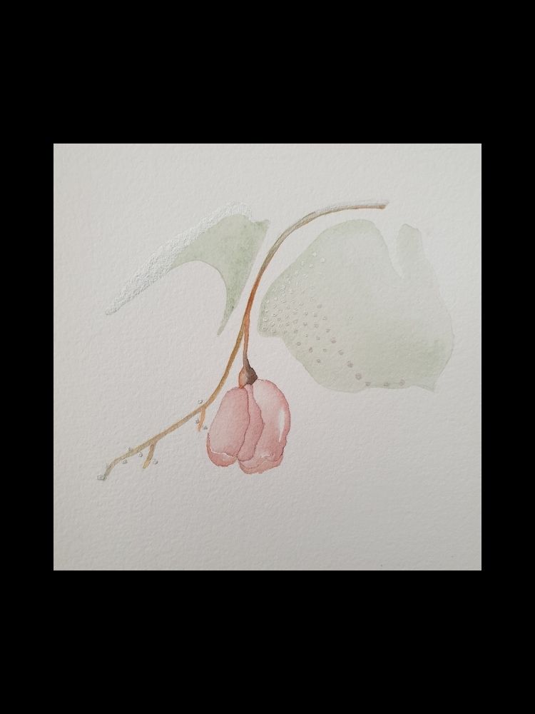 picard peinture espaceVAL