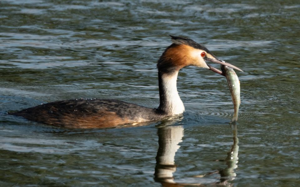 Photo exposition Sandoz 1