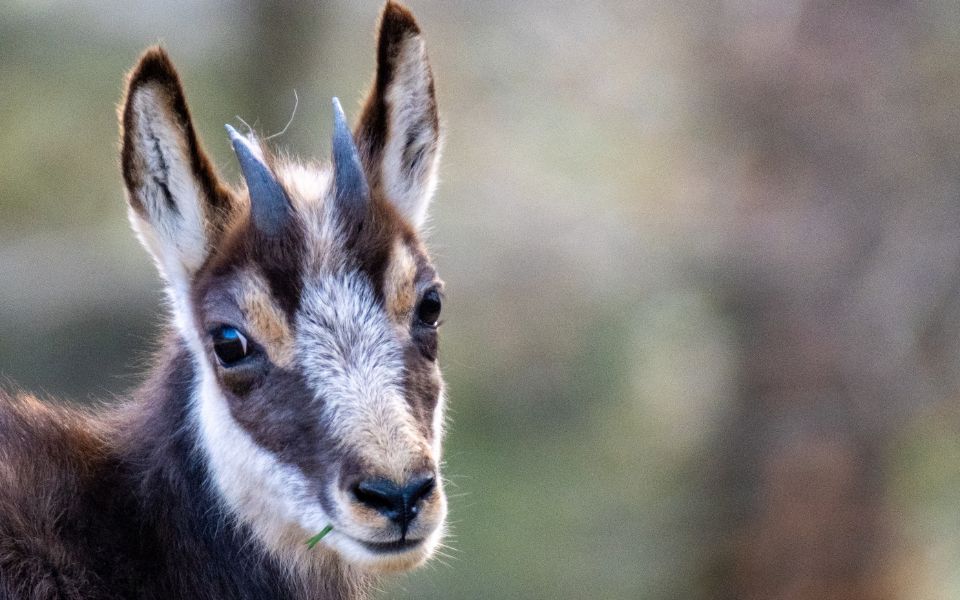 Photo exposition Sandoz 2