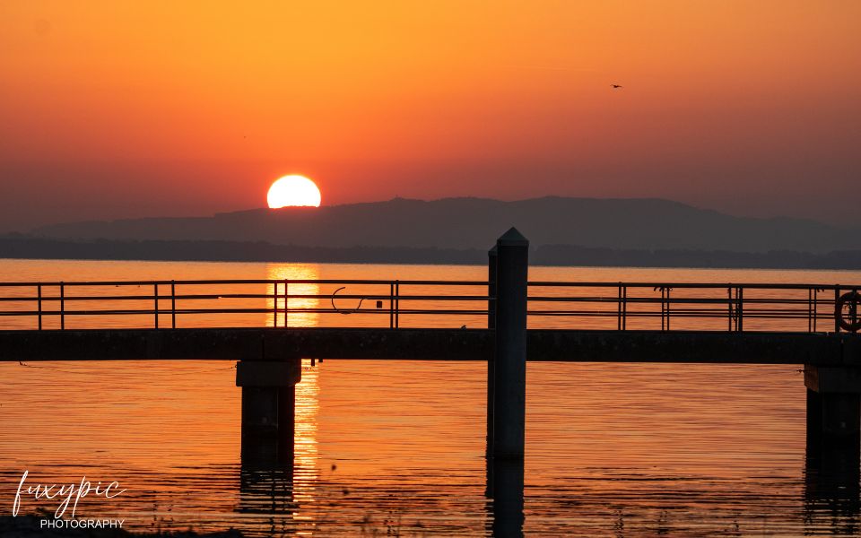 Photo exposition Sandoz 1