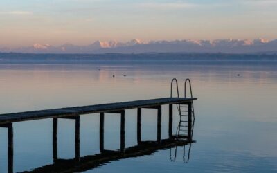 Exposition – Olivier Fuchs