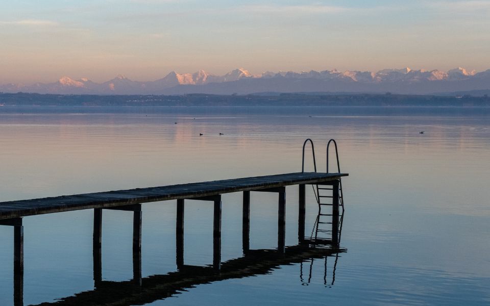 Exposition – Olivier Fuchs