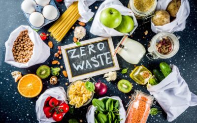 Exposition – Gaspillage alimentaire